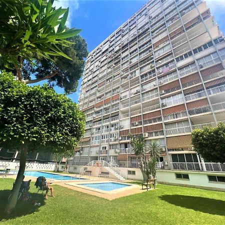 Albatros - 14º Lägenhet Benidorm Exteriör bild